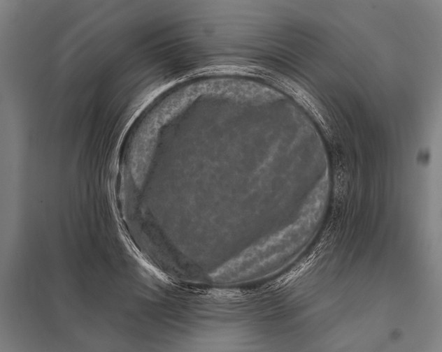 X0000097840844200803281222