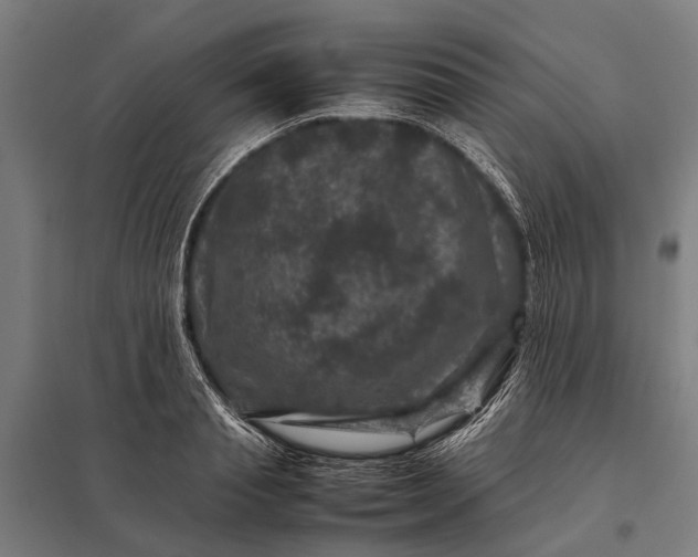 X0000097840845200803281222