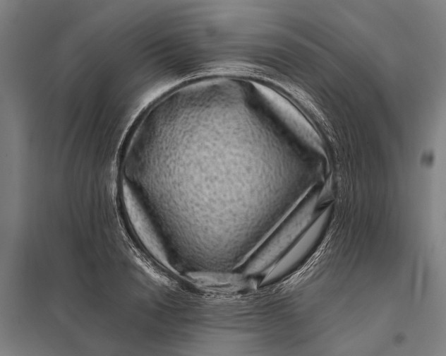X0000097840846200803281222