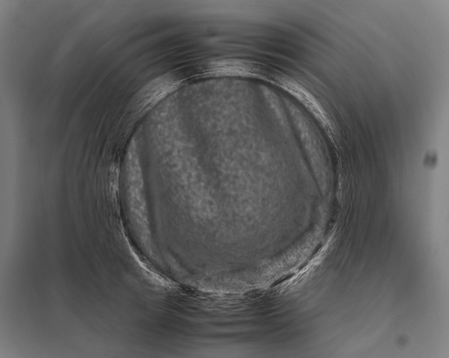 X0000097840849200803281222