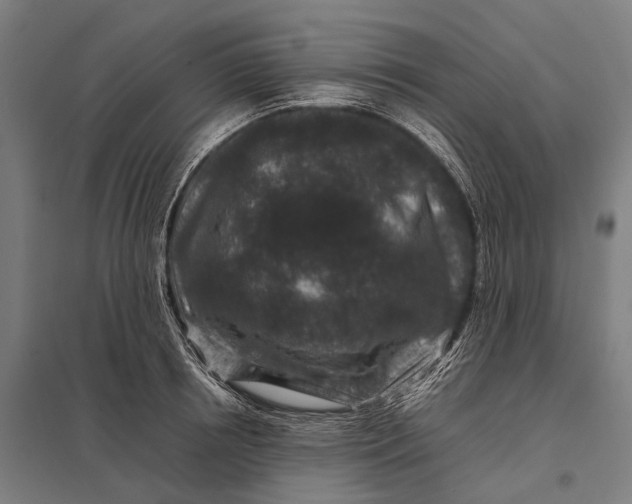 X0000097840850200803281222