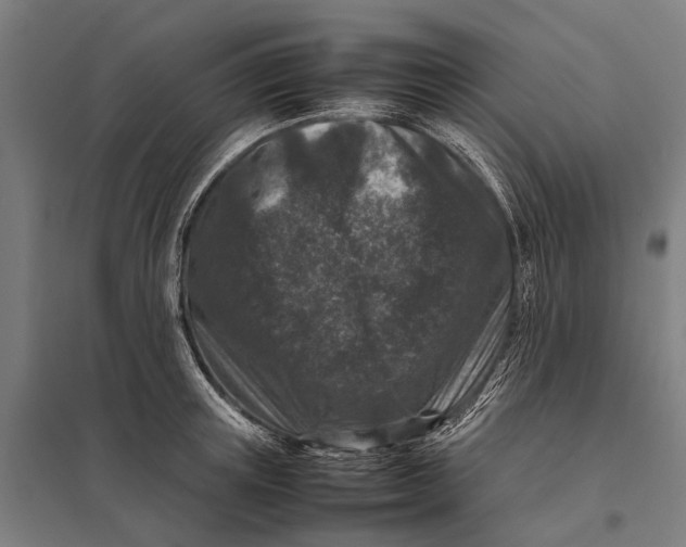 X0000097840851200803281222