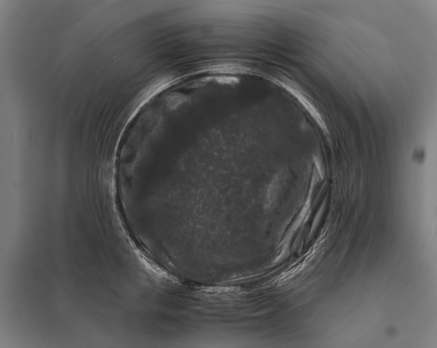 X0000097840853200803281222