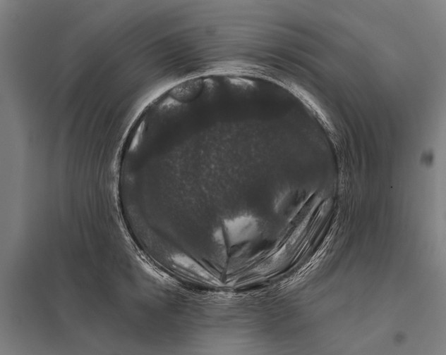 X0000097840854200803281222