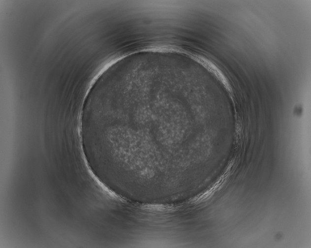 X0000097840855200803281222