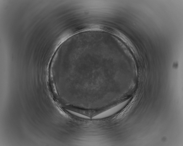 X0000097840858200803281222