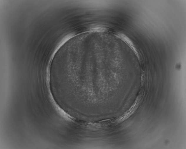 X0000097840859200803281222