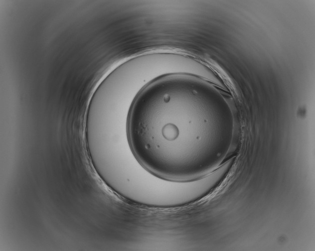 X0000097840860200803281222