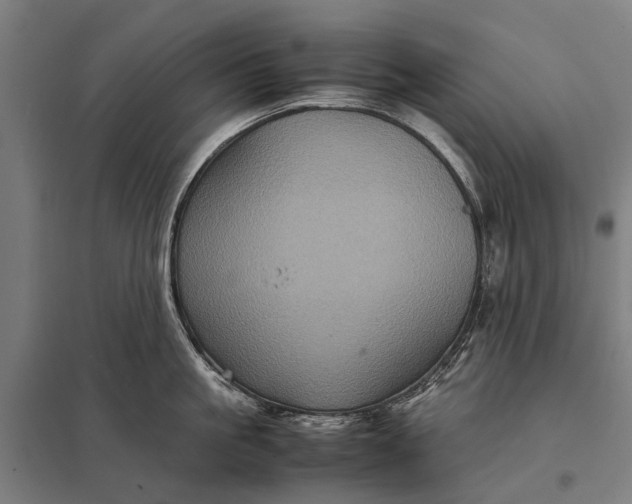 X0000097840861200803281222