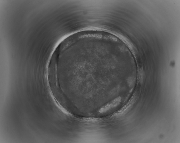 X0000097840862200803281222