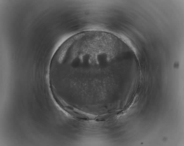 X0000097840863200803281222