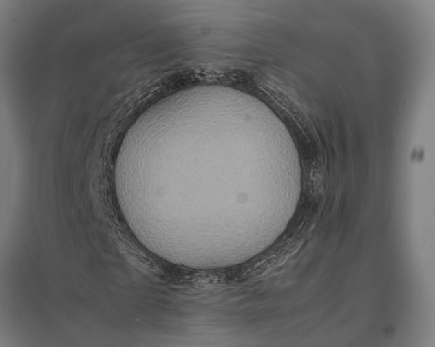 X0000097840865200803281222