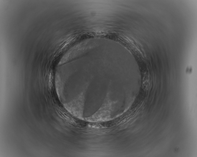 X0000097840866200803281222