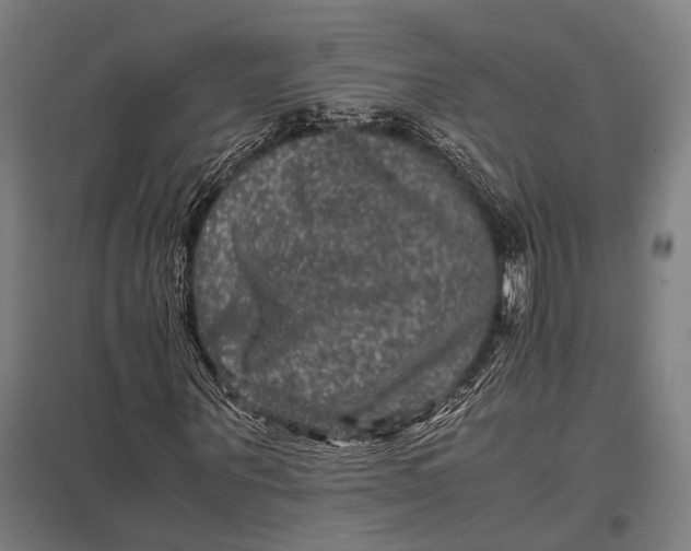 X0000097840867200803281222