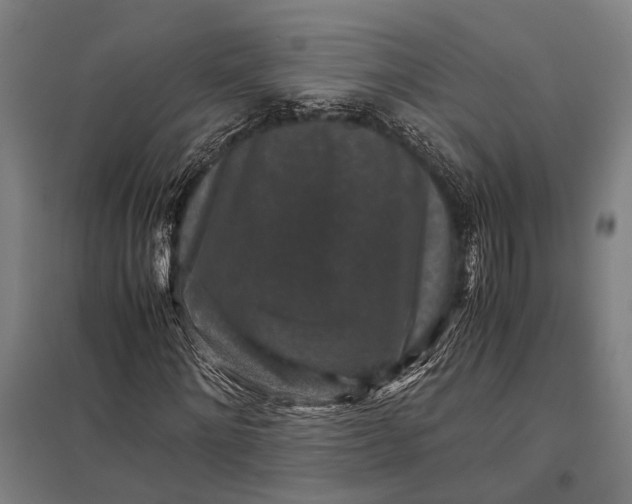 X0000097840868200803281222