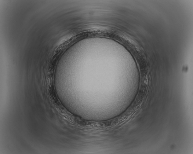 X0000097840869200803281222