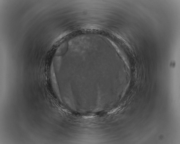 X0000097840870200803281222