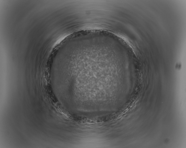 X0000097840871200803281222