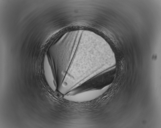 X0000097840872200803281222