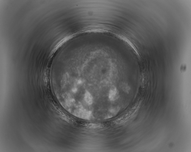 X0000097840874200803281222