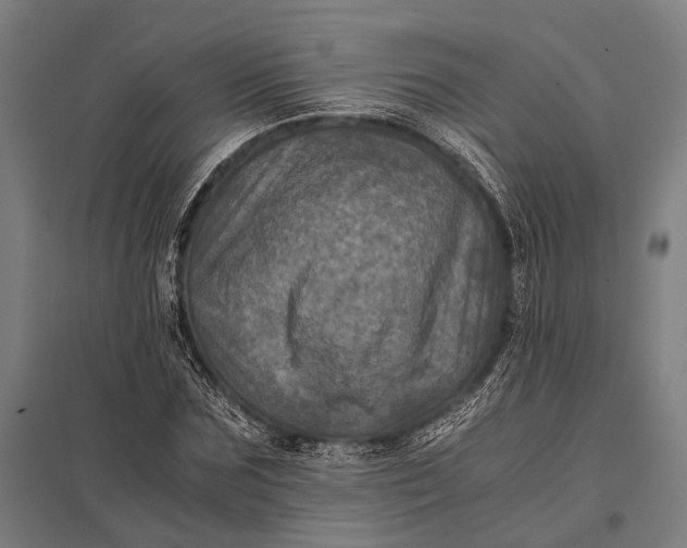 X0000097840875200803281222