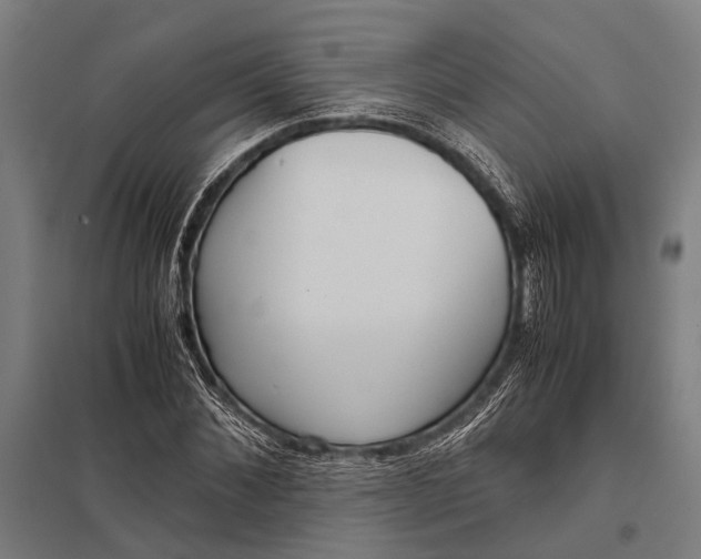 X0000097840876200803281222