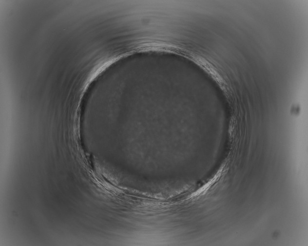 X0000097840877200803281222