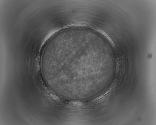 X0000097840878200803281222
