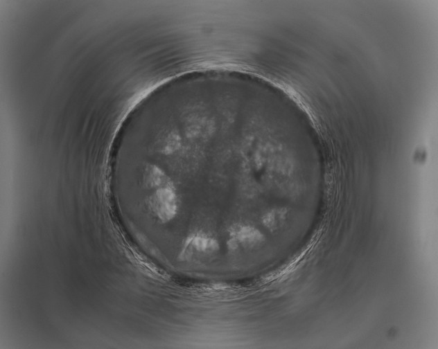 X0000097840879200803281222