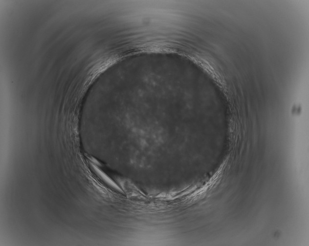 X0000097840881200803281221