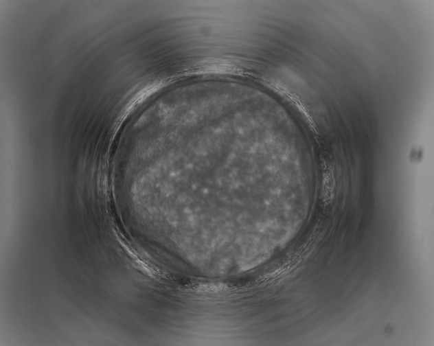 X0000097840882200803281221