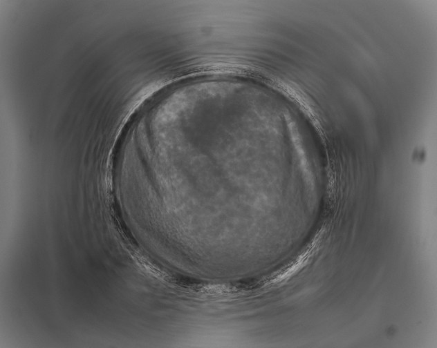 X0000097840883200803281221
