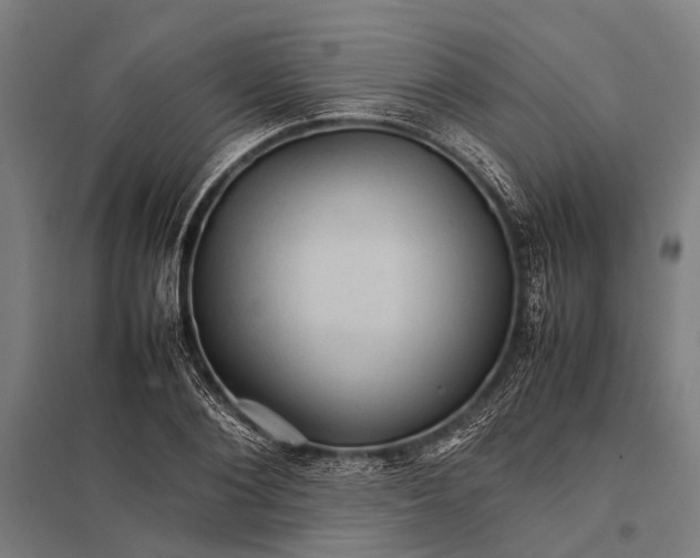 X0000097840884200803281221