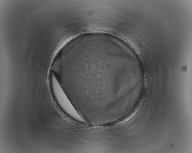 X0000097840885200803281221