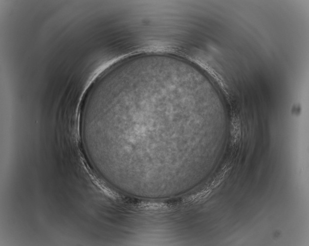 X0000097840886200803281221