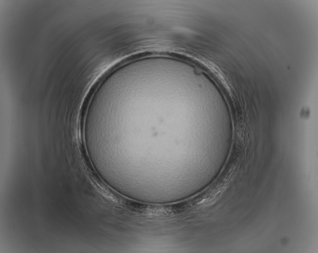X0000097840887200803281221