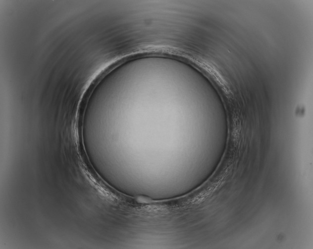 X0000097840888200803281221