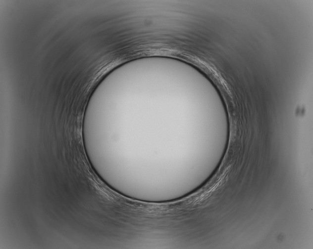 X0000097840889200803281221