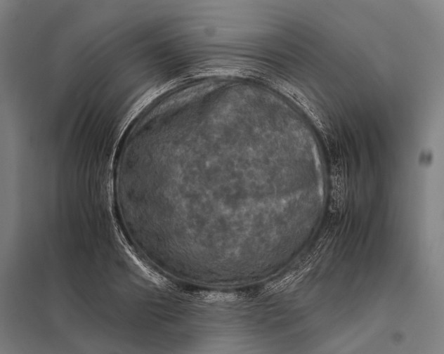 X0000097840890200803281221