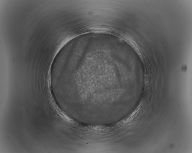 X0000097840891200803281221