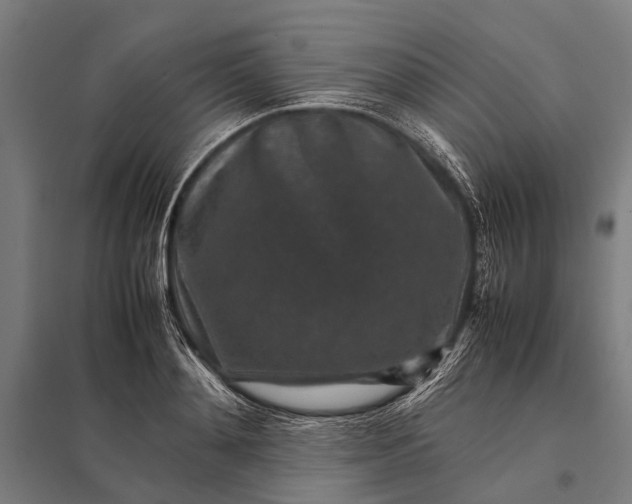 X0000097840892200803281221
