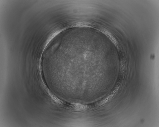 X0000097840893200803281221