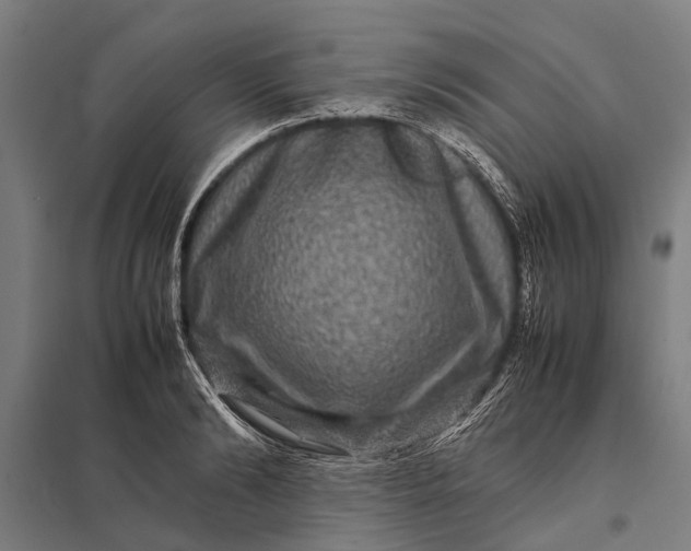 X0000097840894200803281221
