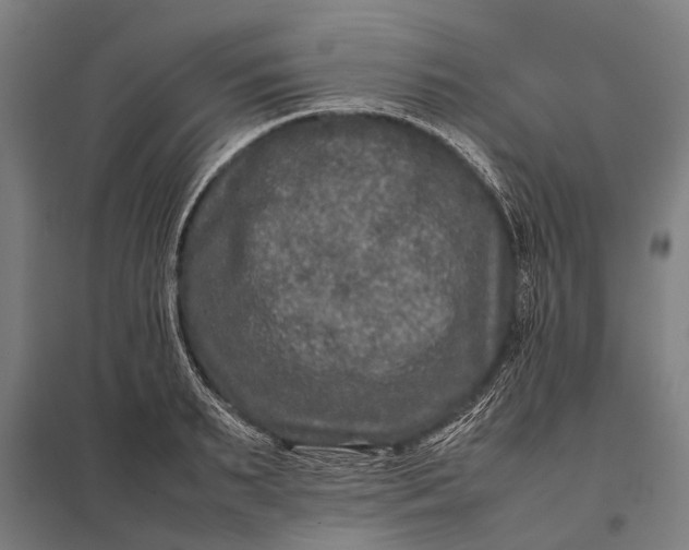 X0000097840895200803281221
