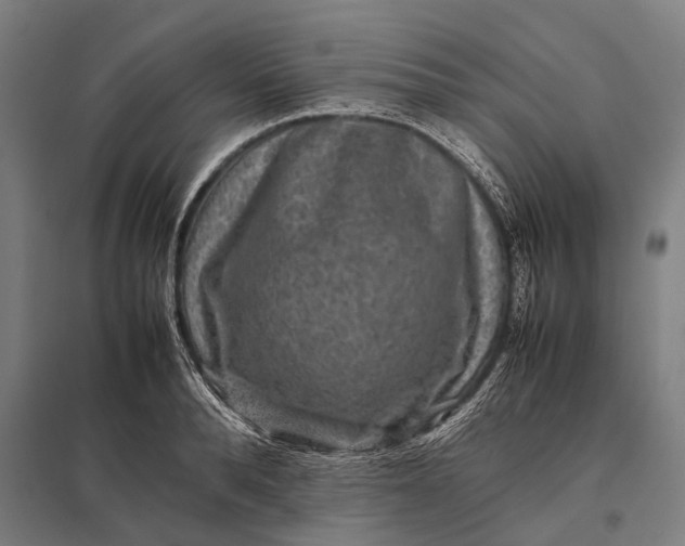 X0000097840896200803281221