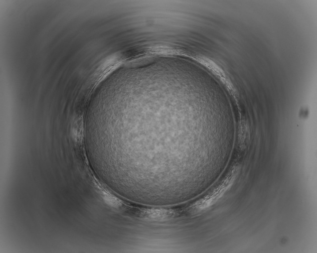 X0000097840897200803281221