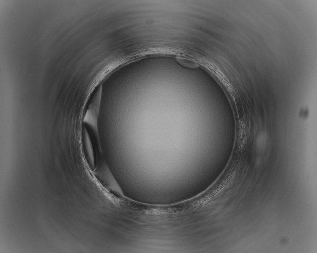 X0000097840898200803281221