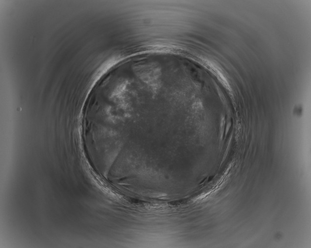X0000097840899200803281221