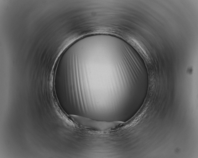 X0000097840900200803281221