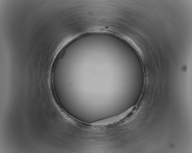 X0000097840901200803281221